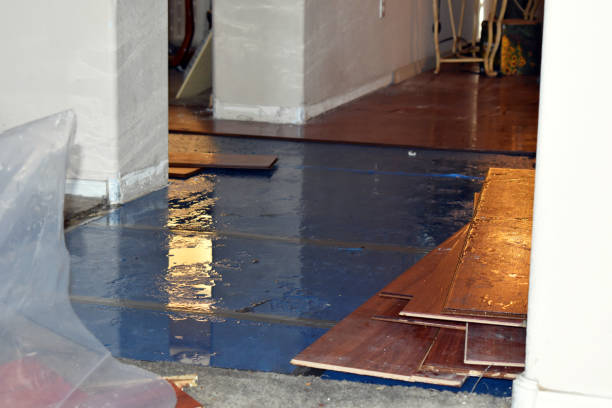 Professional Water Damage Restoration technician working in Clifford, IN
